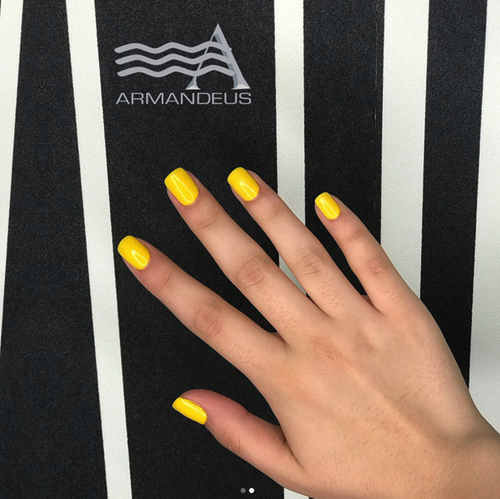 Nails done at Salon Armandeus Doral