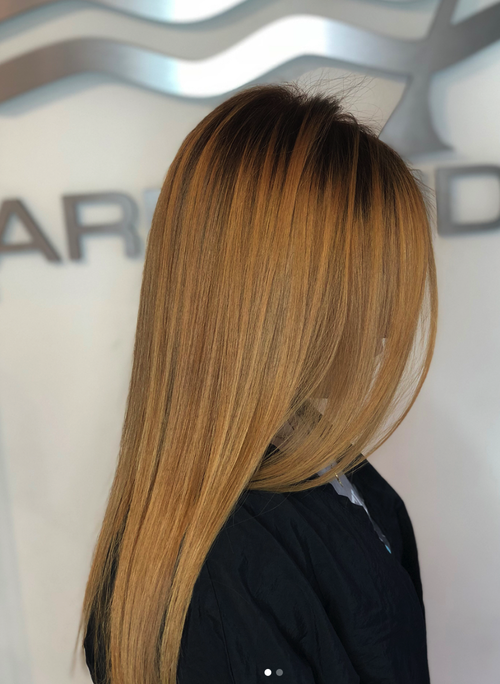 Hair color and style done at Salon Armandeus Orlando