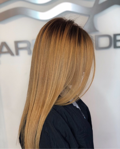 Hair color and style done at Salon Armandeus Orlando