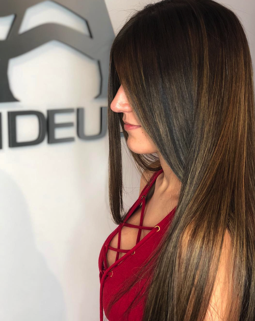 Low lights done at Salon Armandeus Orlando