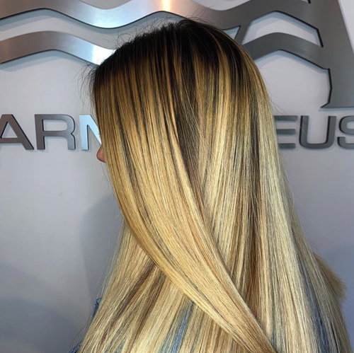 Hair color and style done at Salon Armandeus Orlando