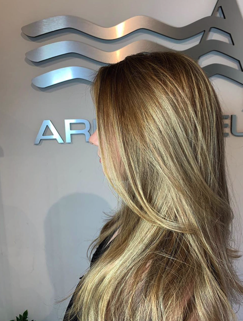 Highlights and hairstyle by Salon Armandeus Orlando