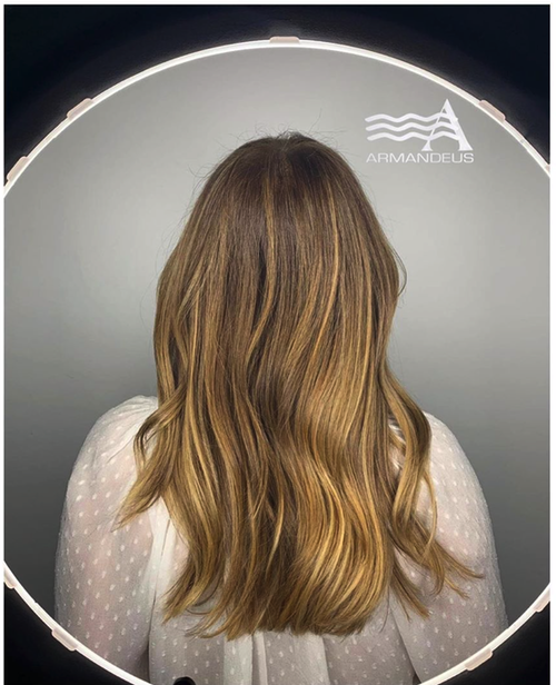 Balayage and hairstyle by Salon Armandeus Doral